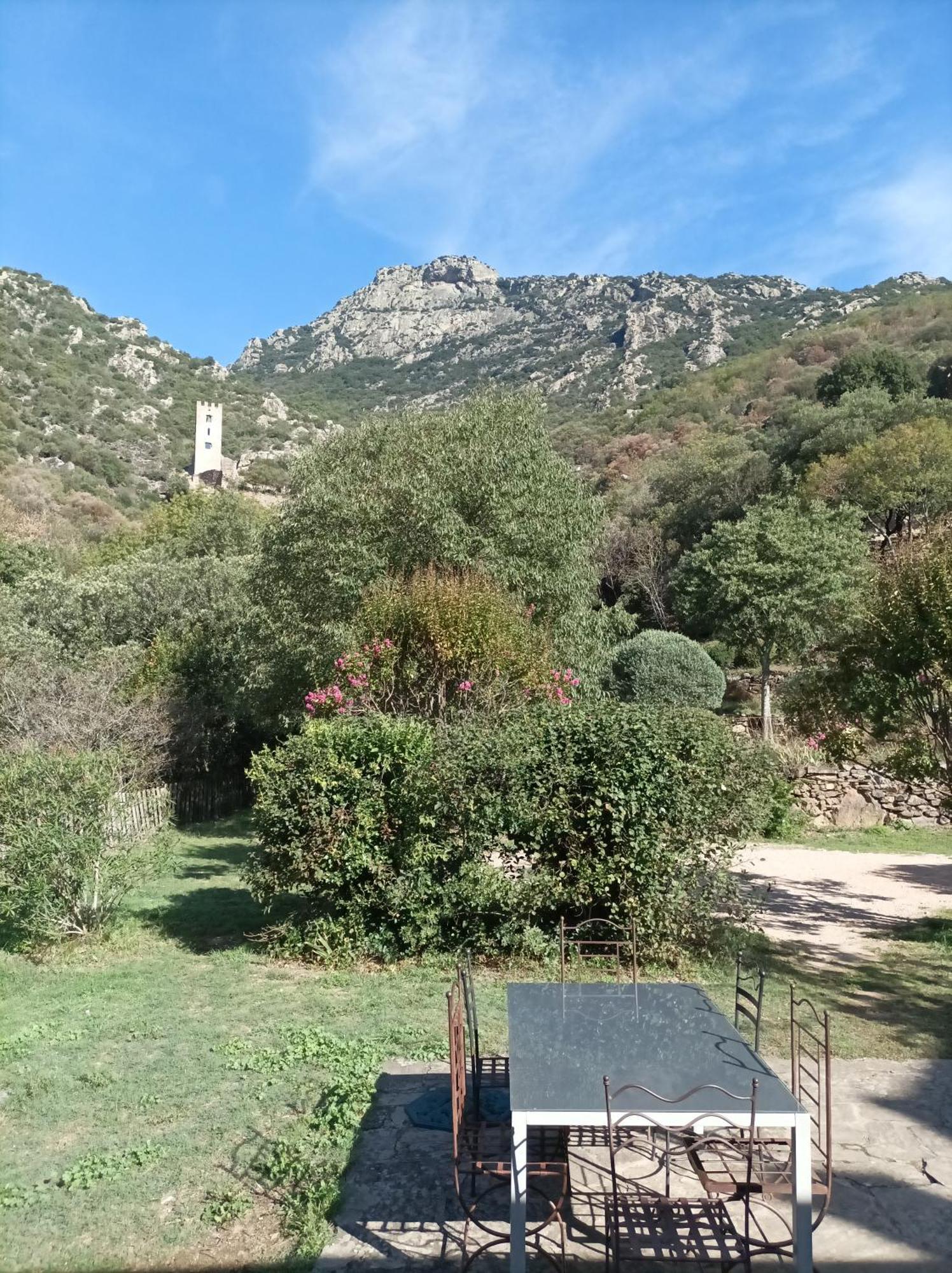 Chateau De Colombieres Sur Orb Buitenkant foto