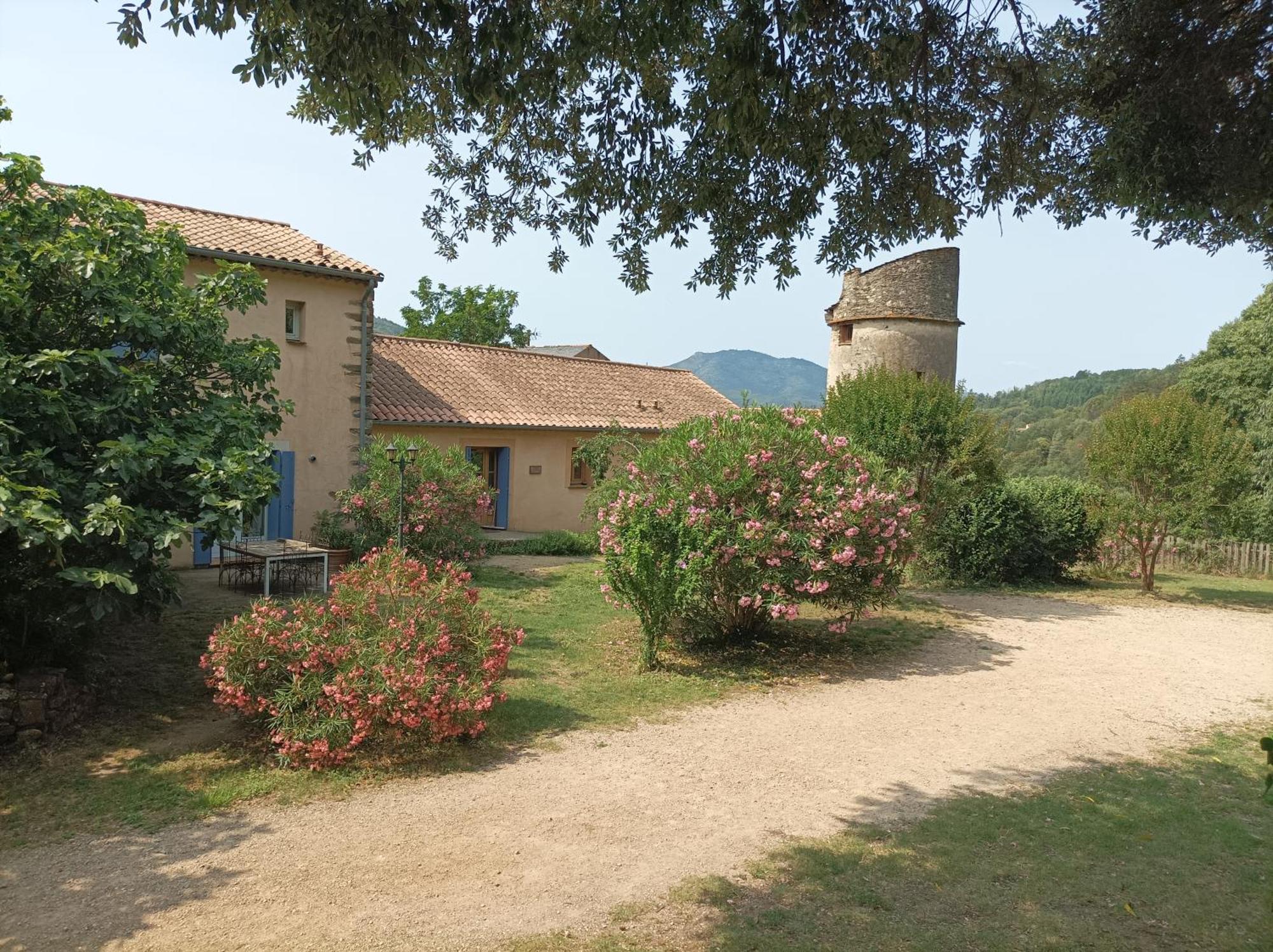 Chateau De Colombieres Sur Orb Buitenkant foto