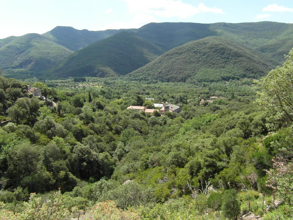 Chateau De Colombieres Sur Orb Buitenkant foto