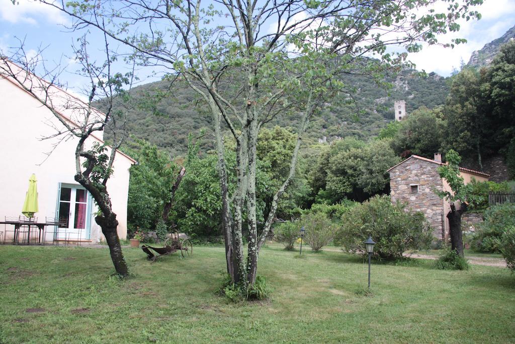 Chateau De Colombieres Sur Orb Buitenkant foto
